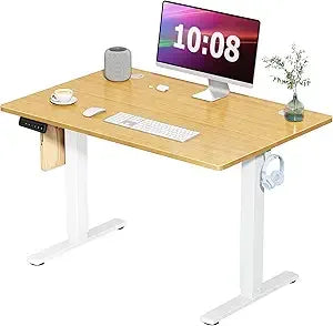Standing Desk, Adjustable Height Electric Sit Stand up down Computer Table, 55X24 Inch Ergonomic Rising Modern Lift Motorized Ga