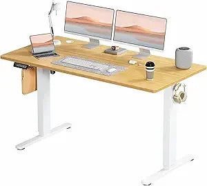 Standing Desk, Adjustable Height Electric Sit Stand up down Computer Table, 55X24 Inch Ergonomic Rising Modern Lift Motorized Ga