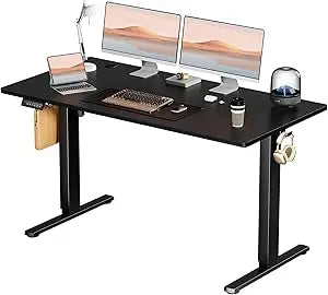 Standing Desk, Adjustable Height Electric Sit Stand up down Computer Table, 55X24 Inch Ergonomic Rising Modern Lift Motorized Ga