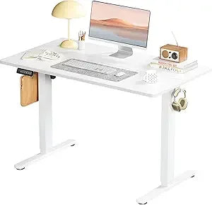 Standing Desk, Adjustable Height Electric Sit Stand up down Computer Table, 55X24 Inch Ergonomic Rising Modern Lift Motorized Ga