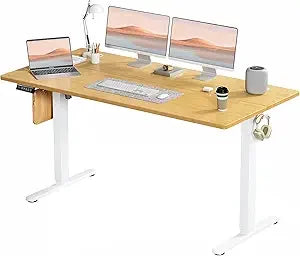 Standing Desk, Adjustable Height Electric Sit Stand up down Computer Table, 55X24 Inch Ergonomic Rising Modern Lift Motorized Ga